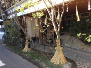 IMG_1242_50