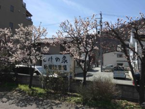 20160331_030229511_iOS