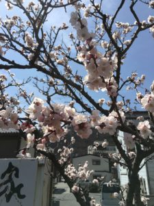 20160331_030244055_iOS