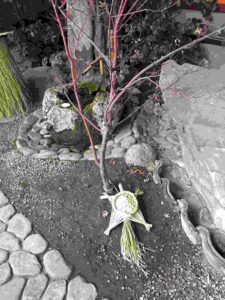 20161226_071403933_ios