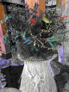 20161230_062345425_ios