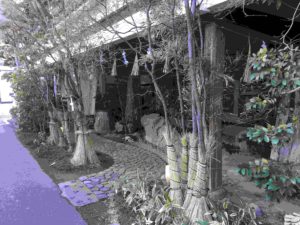20161230_062426156_ios