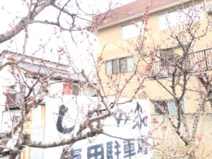 20170331_013453513_iOS