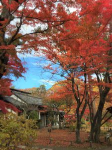 懐古園の紅葉