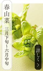 春山菜