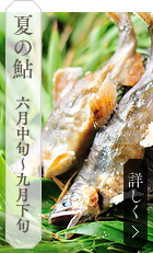 夏の鮎