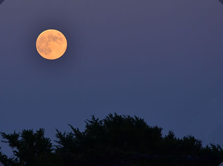 夜空