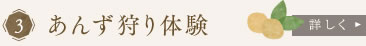 あんず狩り体験　詳しく