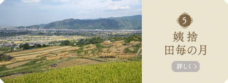 姨捨　田毎の月