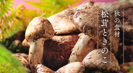 matsutake