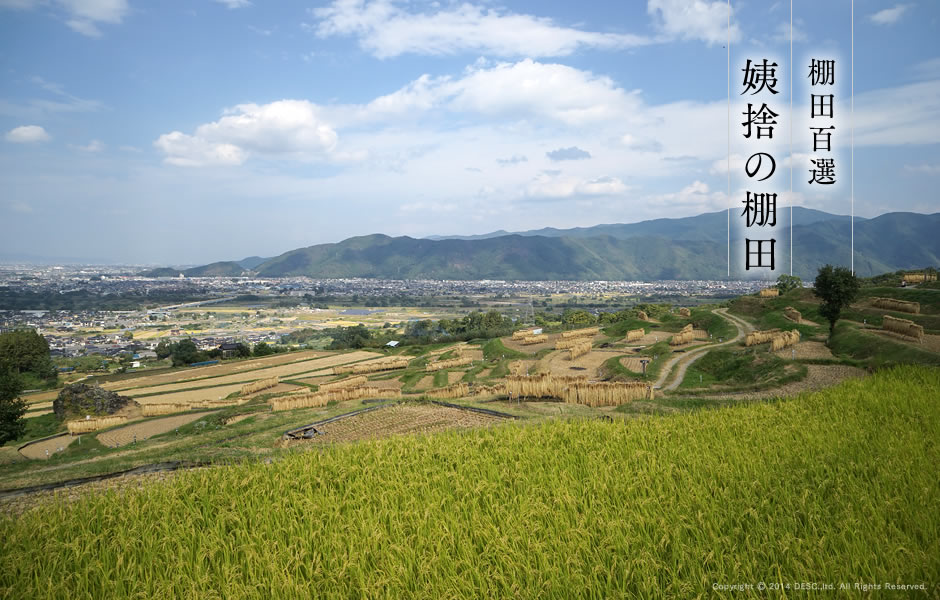 tanada_aki_1