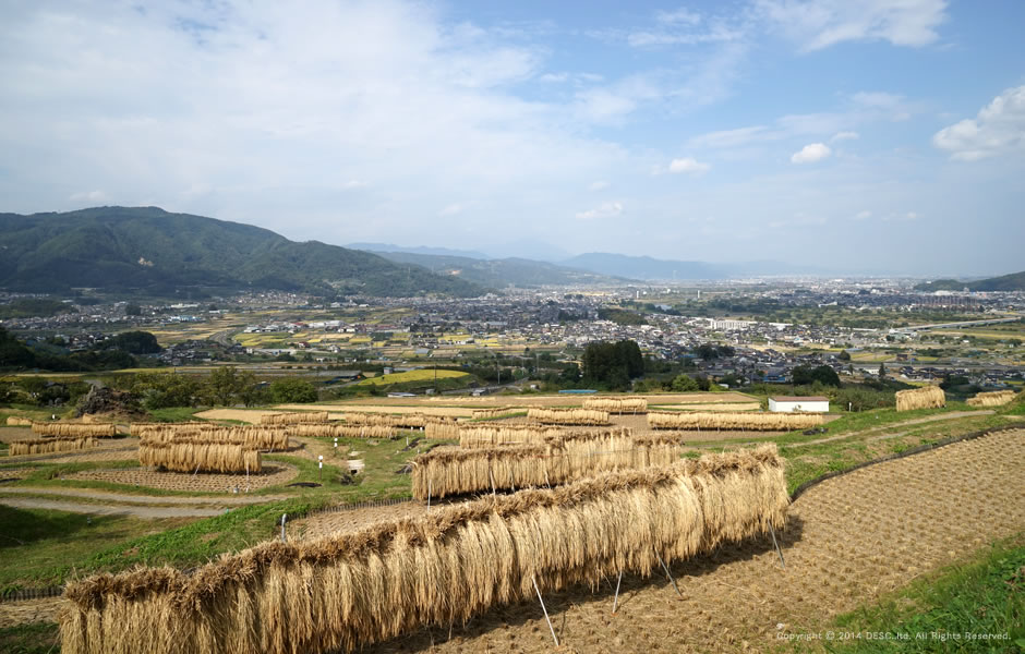 tanada_aki_2