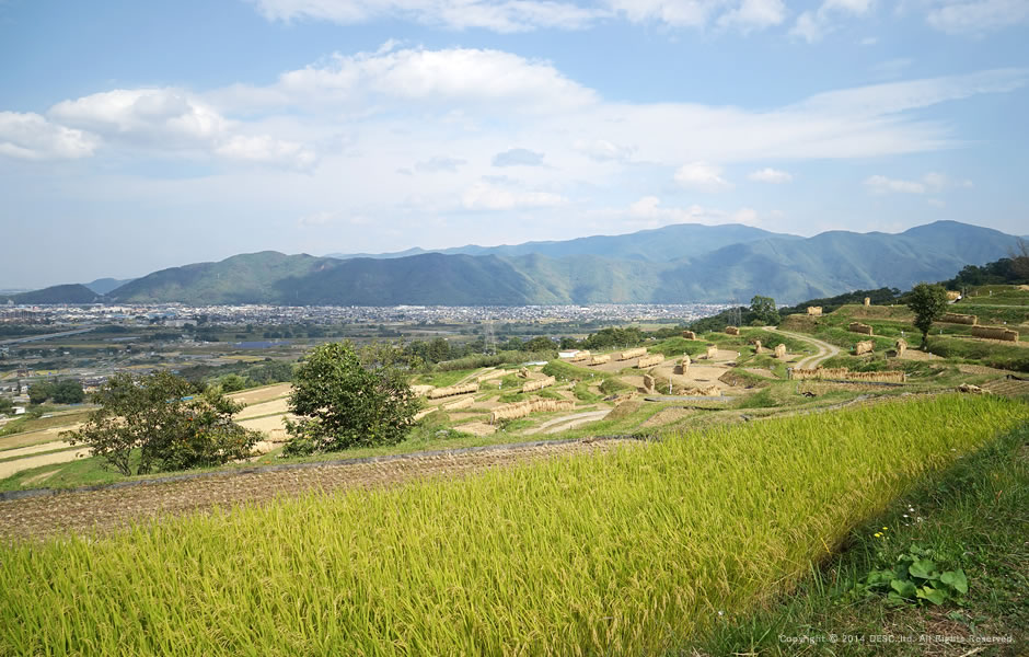 tanada_aki_4