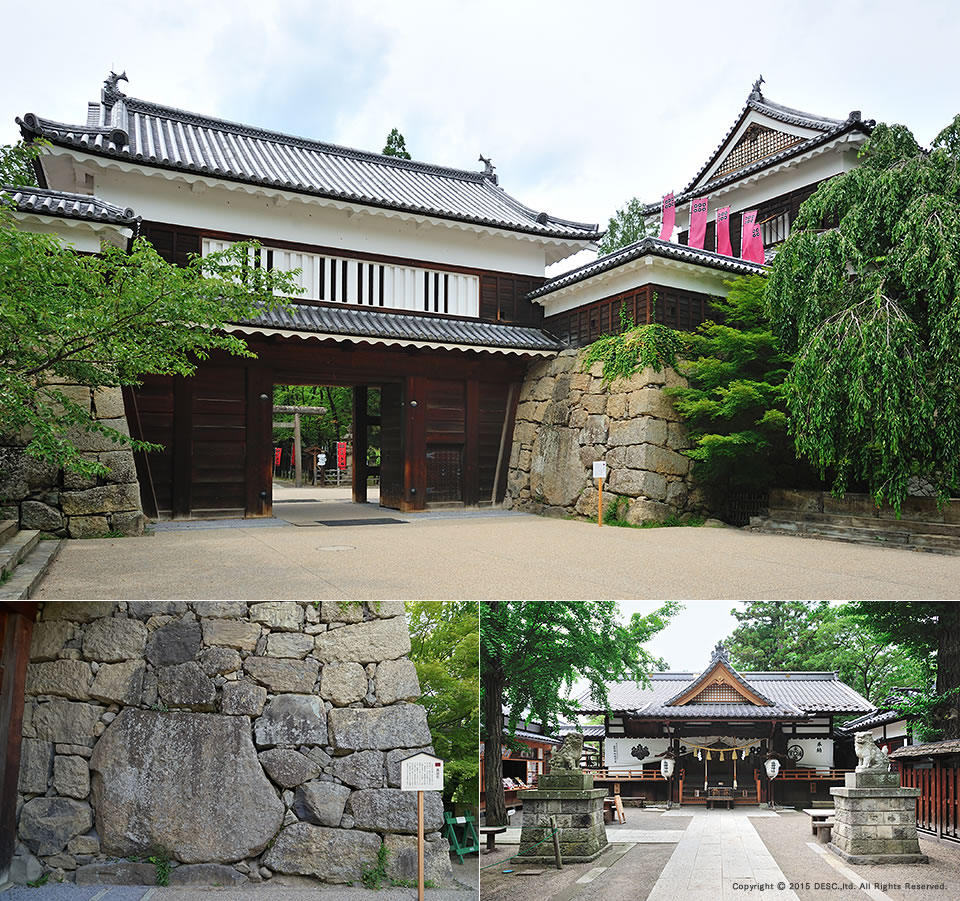ueda_5