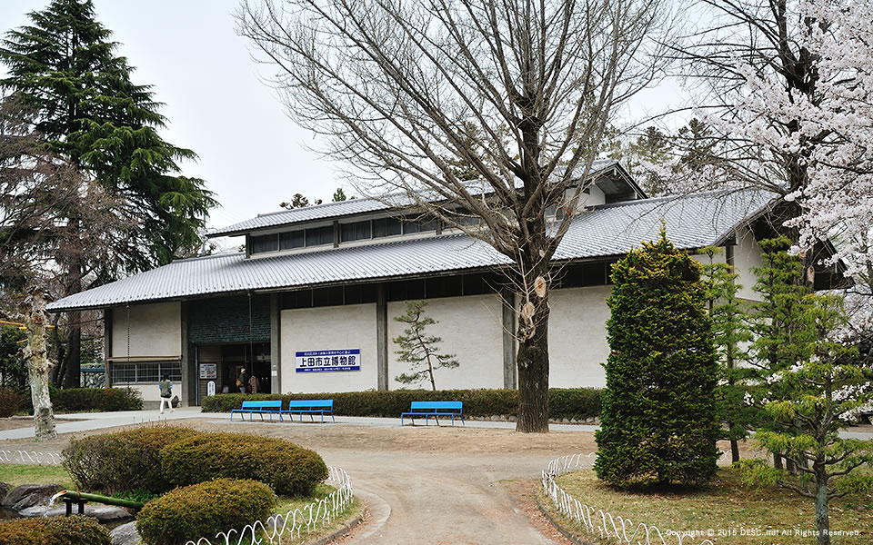 ueda_7