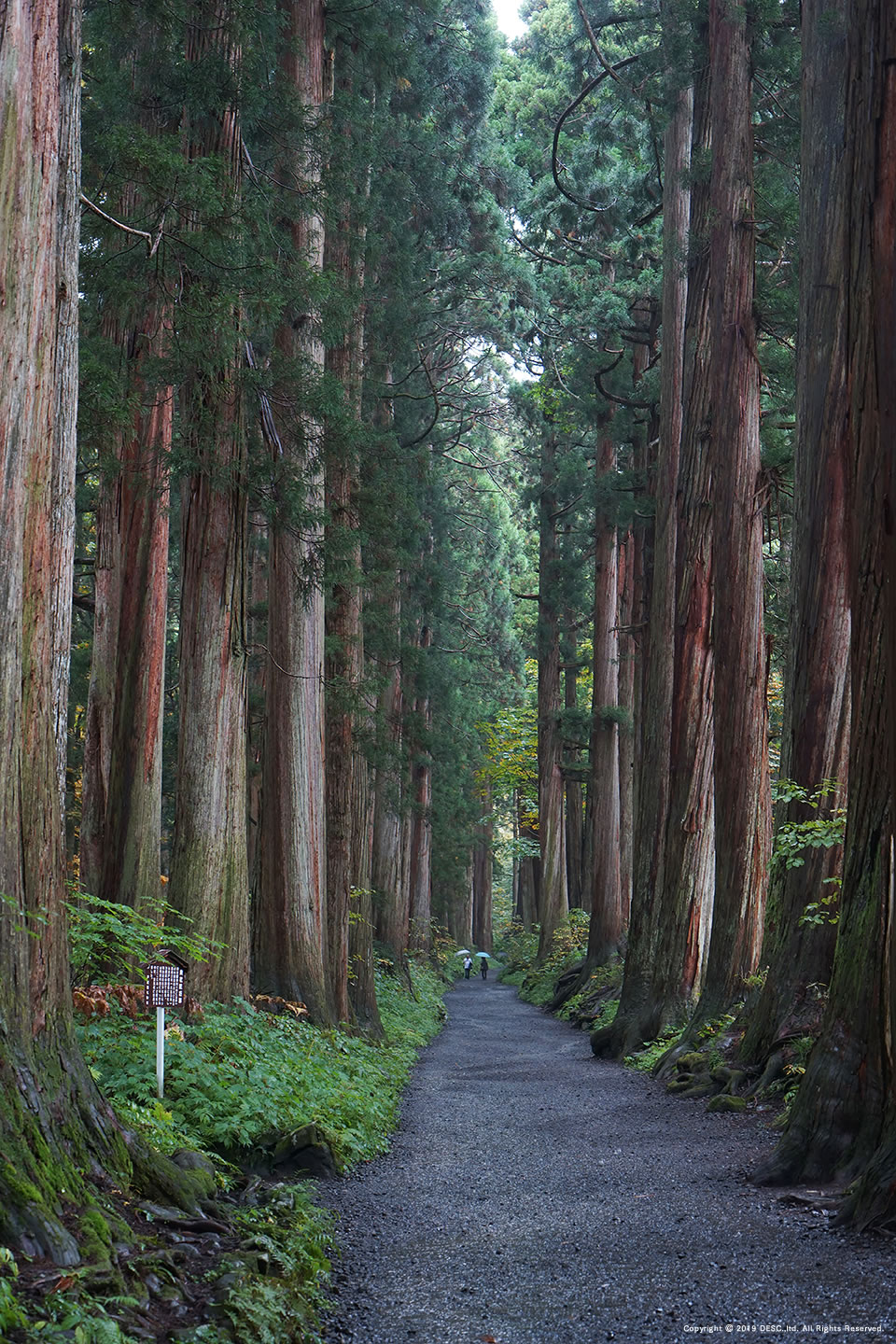 togakushi2