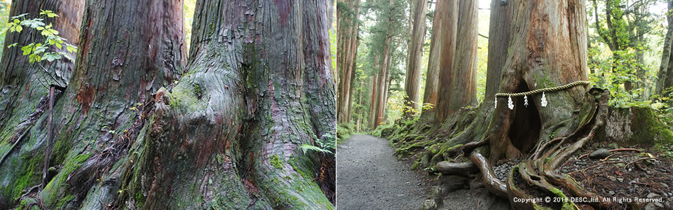 togakushi3